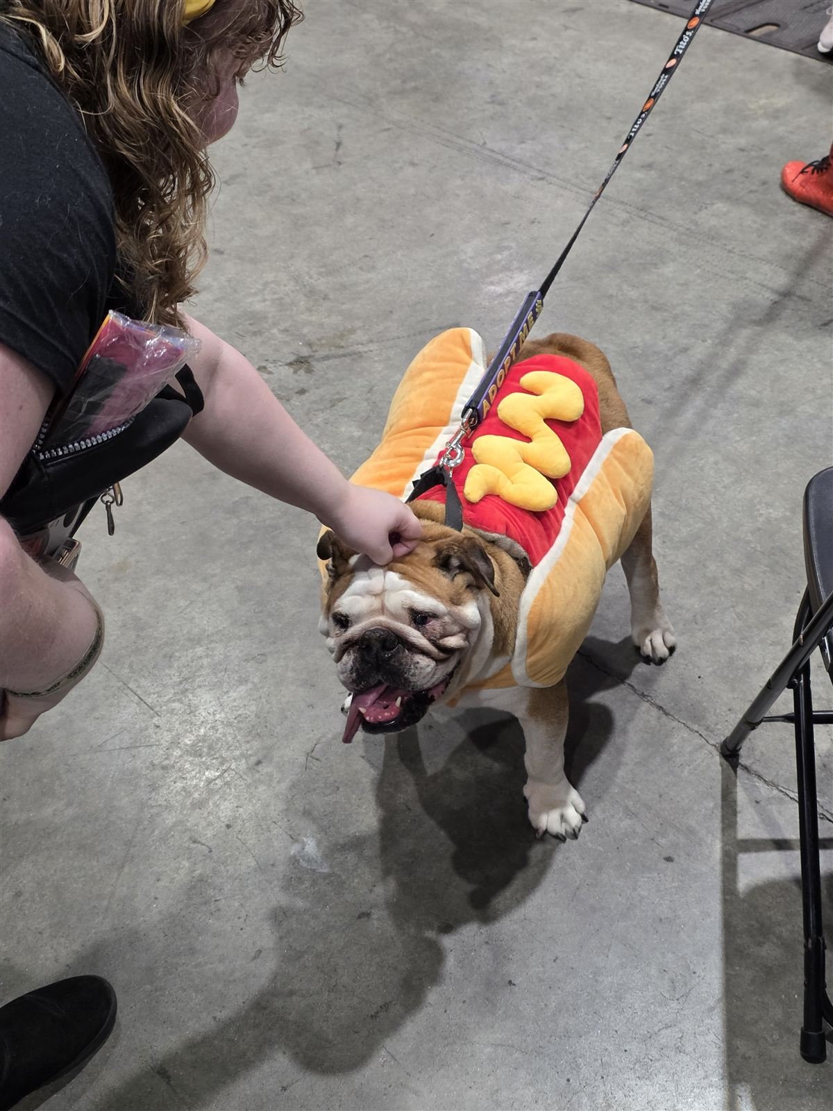 GalaxyCon 2026 photo 18
